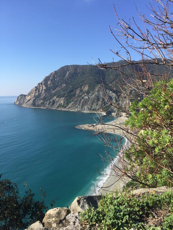 Acciuga Apartment Monterosso al Mare Exterior photo